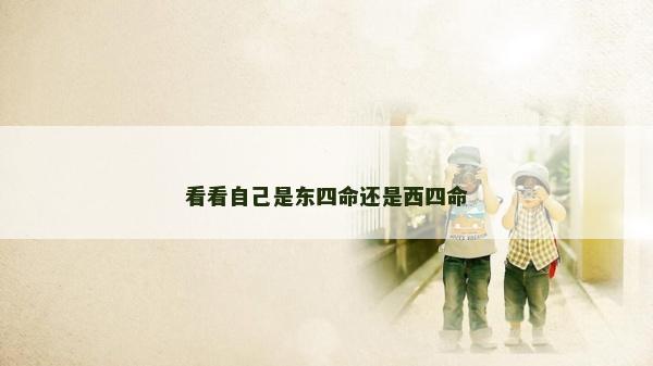 看看自己是东四命还是西四命