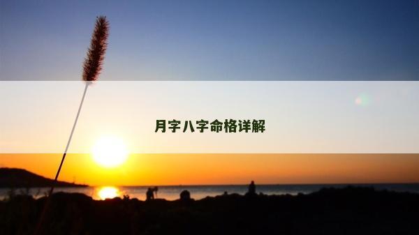 月字八字命格详解