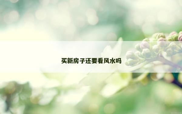买新房子还要看风水吗