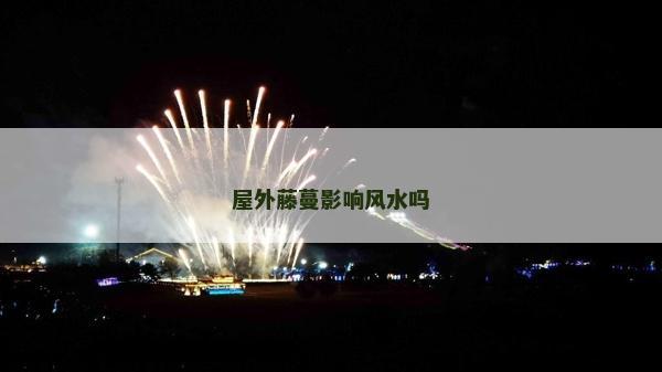 屋外藤蔓影响风水吗