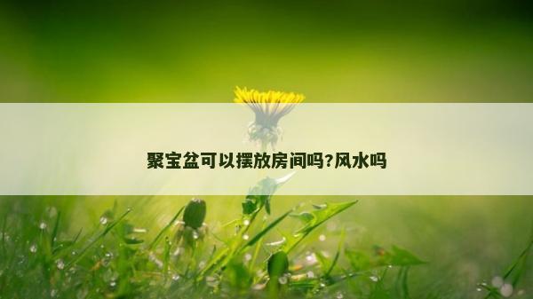 聚宝盆可以摆放房间吗?风水吗