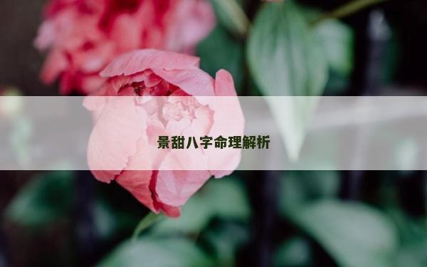 景甜八字命理解析