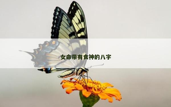 女命带有食神的八字