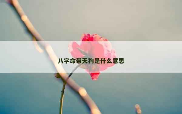 八字命带天狗是什么意思