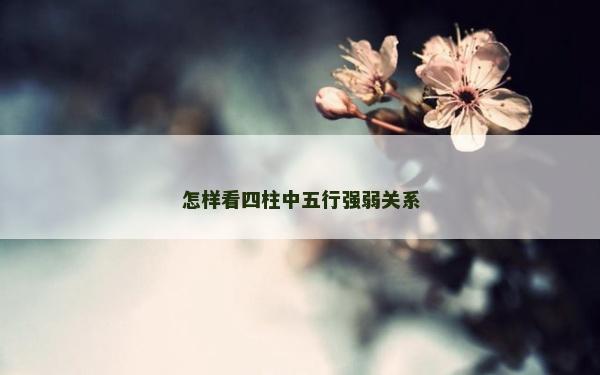 怎样看四柱中五行强弱关系