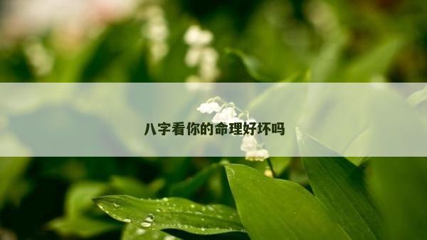 八字看你的命理好坏吗