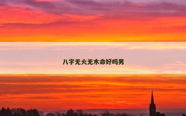 八字无火无木命好吗男