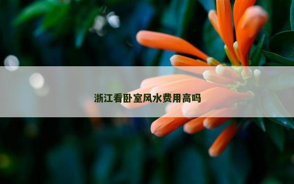 浙江看卧室风水费用高吗