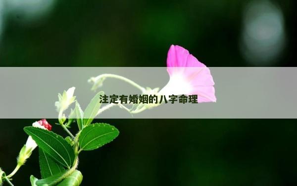 注定有婚姻的八字命理