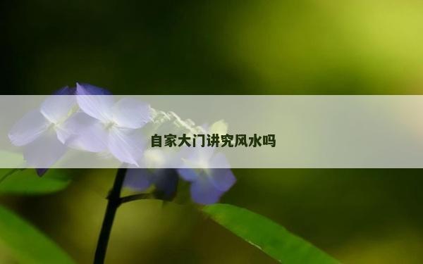 自家大门讲究风水吗
