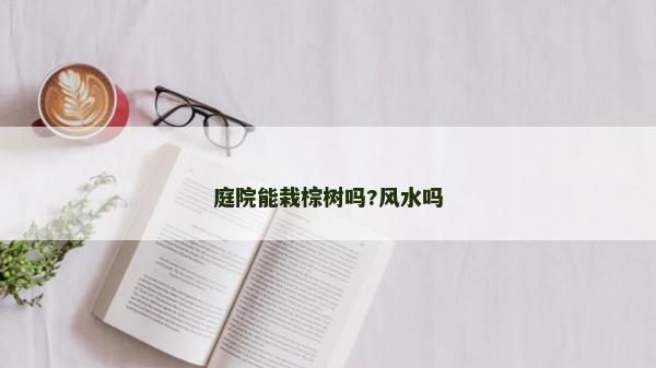 庭院能栽棕树吗?风水吗