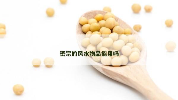 密宗的风水物品能用吗