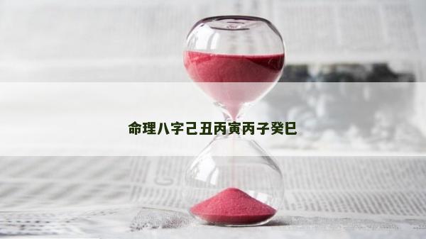 命理八字己丑丙寅丙子癸巳