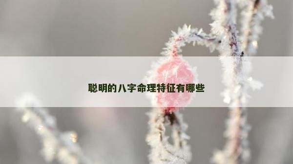 聪明的八字命理特征有哪些