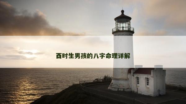 酉时生男孩的八字命理详解