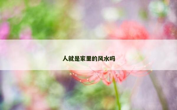 人就是家里的风水吗