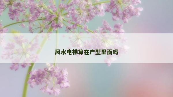风水电梯算在户型里面吗