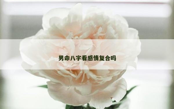男命八字看感情复合吗