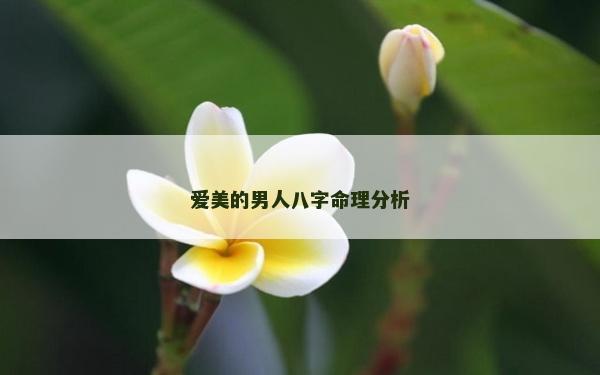 爱美的男人八字命理分析