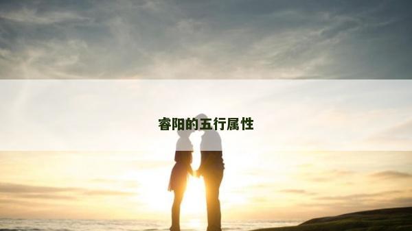 睿阳的五行属性