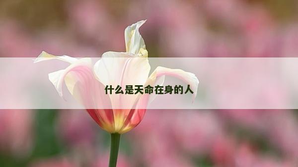 什么是天命在身的人