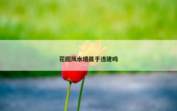 花园风水墙属于违建吗