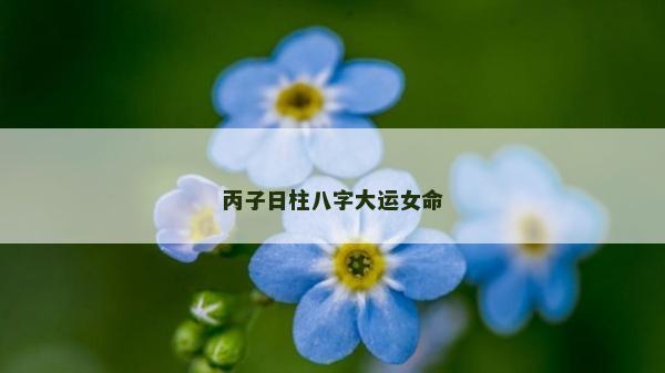 丙子日柱八字大运女命