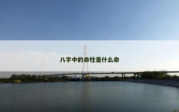 八字中的命柱是什么命