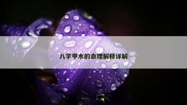 八字甲木的命理解释详解