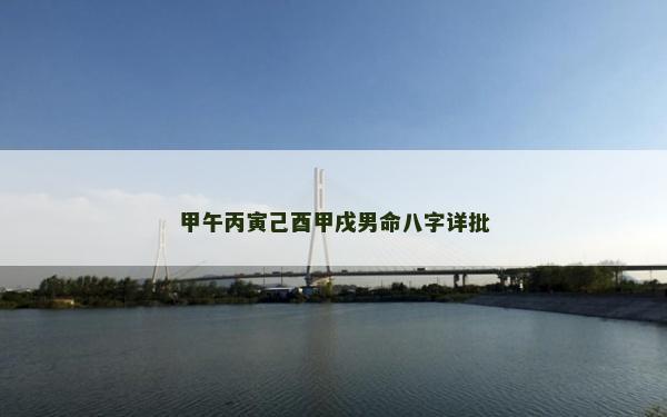 甲午丙寅己酉甲戌男命八字详批