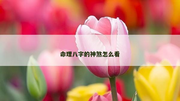 命理八字的神煞怎么看