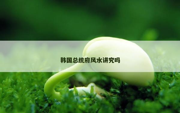 韩国总统府风水讲究吗