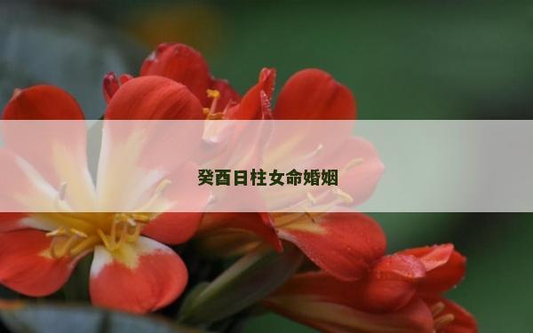 癸酉日柱女命婚姻