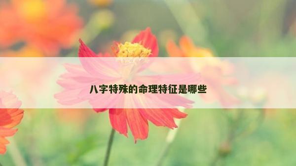 八字特殊的命理特征是哪些
