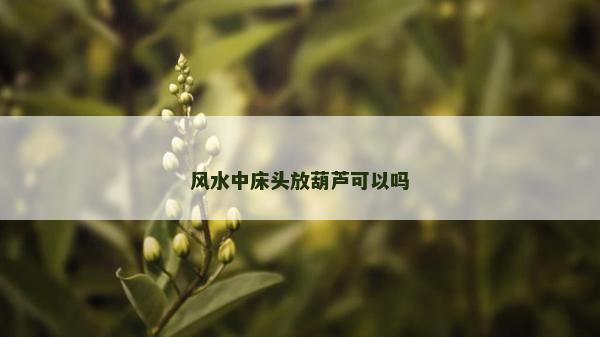 风水中床头放葫芦可以吗