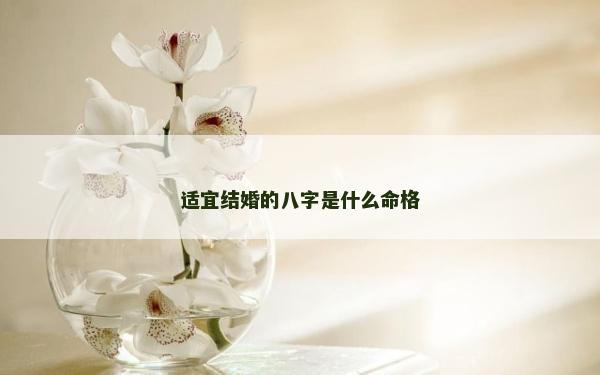 适宜结婚的八字是什么命格