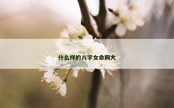 什么样的八字女命胸大