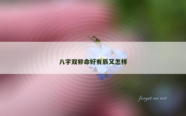 八字双卯命好有辰又怎样