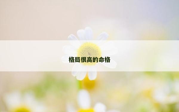 格局很高的命格