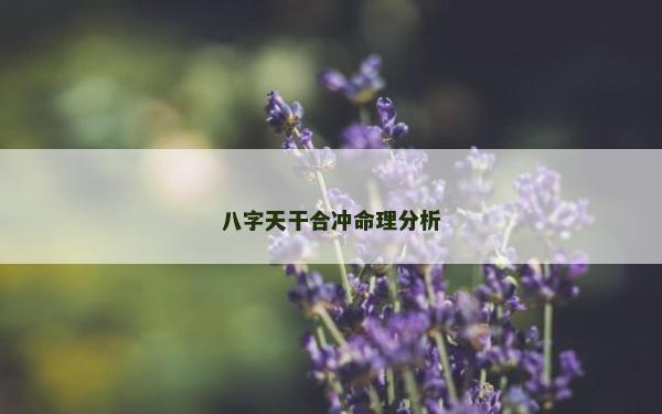 八字天干合冲命理分析