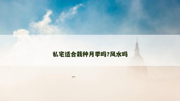 私宅适合栽种月季吗?风水吗