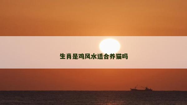生肖是鸡风水适合养猫吗