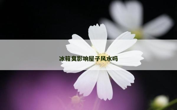 冰箱臭影响屋子风水吗