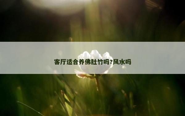 客厅适合养佛肚竹吗?风水吗