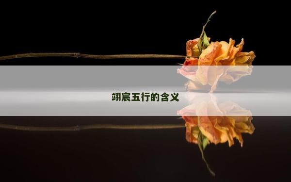 翊宸五行的含义