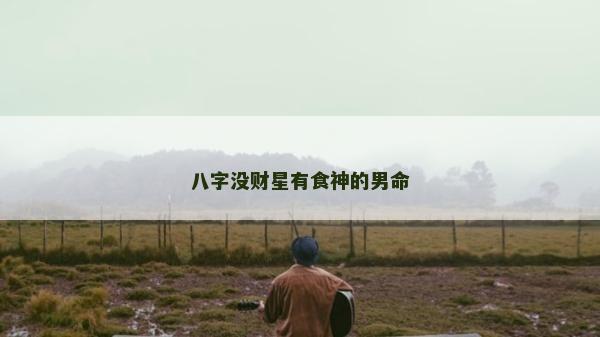 八字没财星有食神的男命