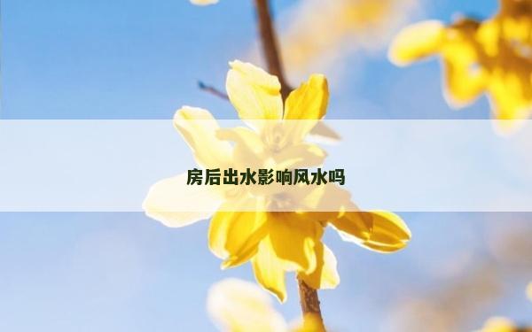 房后出水影响风水吗