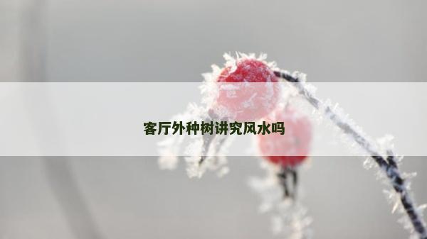 客厅外种树讲究风水吗