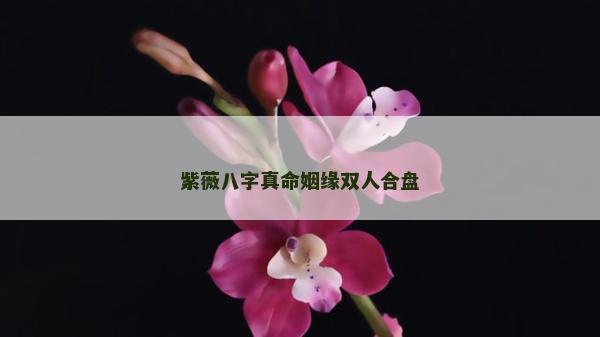 紫薇八字真命姻缘双人合盘