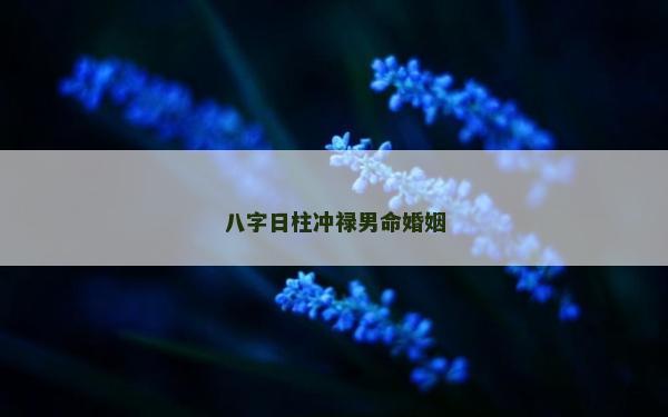 八字日柱冲禄男命婚姻